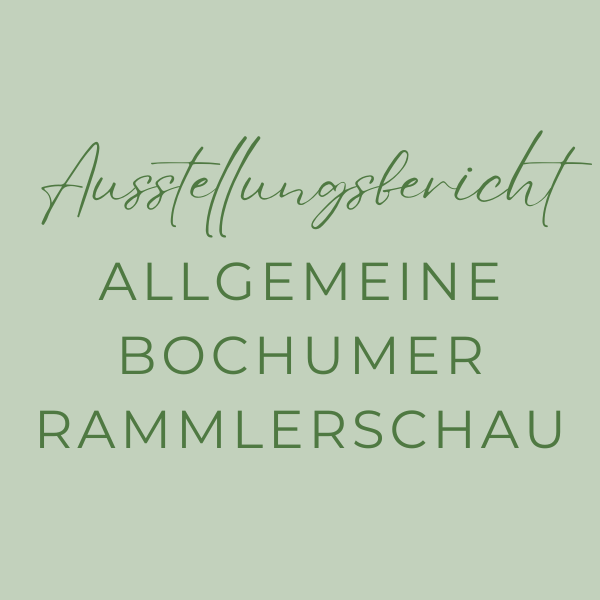 Ausstellungsbericht Allgemeine Bochumer Rammlerschau
