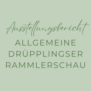 Ausstellungsbericht Allgemeine Drüpplingser Rammlerschau